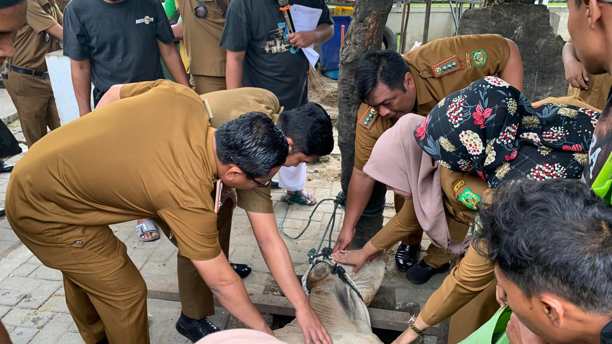 Pelaksanaan Qurban Kecamatan Medan Petisah